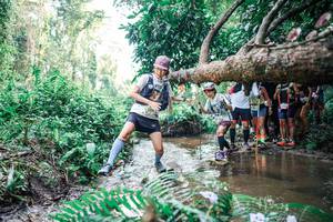 BIB: 
                            <button type="button" onclick="openModal(25472592)" class="btn btn-primary btn-sm float-right btn-popup" data-toggle="modal" data-target=".modal-high-quality">
                        <i class="fas fa-shopping-cart"></i> Add to Cart
                    </button>
                                            <button type="button" onclick="isThisMe(25472592, true)" class="btn btn-success btn-sm float-right btn-popup btn-isme hidden" data-toggle="tooltip" data-placement="bottom" title="นี่คือรูปของคุณใช่ไหม คลิกที่นี่เพื่อเอาเข้าอัลบั้ม">
                        <i class="fas fa-plus"></i> Add to album
                    </button>
                    <button type="button" onclick="isThisMe(25472592, false)" class="btn btn-warning btn-sm float-right btn-popup btn-isnotme hidden">
                        <i class="fas fa-ban"></i> Remove from album
                    </button>